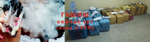 дмт Бородино