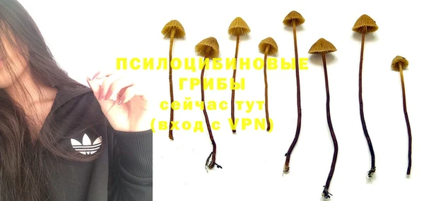 твердый Верхний Тагил
