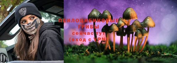 твердый Верхний Тагил